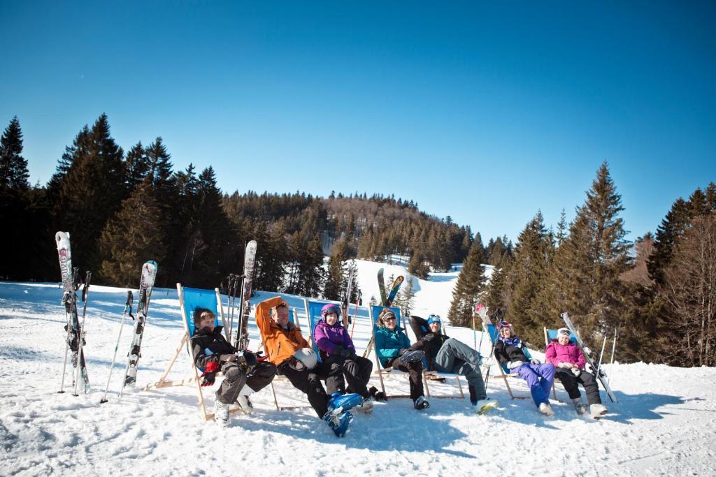 Residence Les Grandes Feignes La Bresse Dış mekan fotoğraf